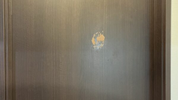 ドアの表面剥がれ補修/東京都清瀬市/リペア