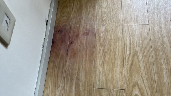 フローリングの変色補修/東京都三鷹市/リペア
