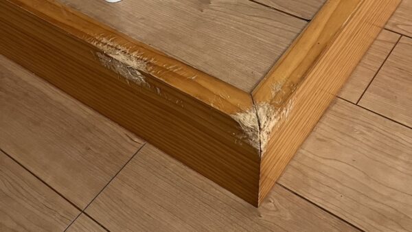 ペットによる噛み跡補修/東京都八王子市/リペア